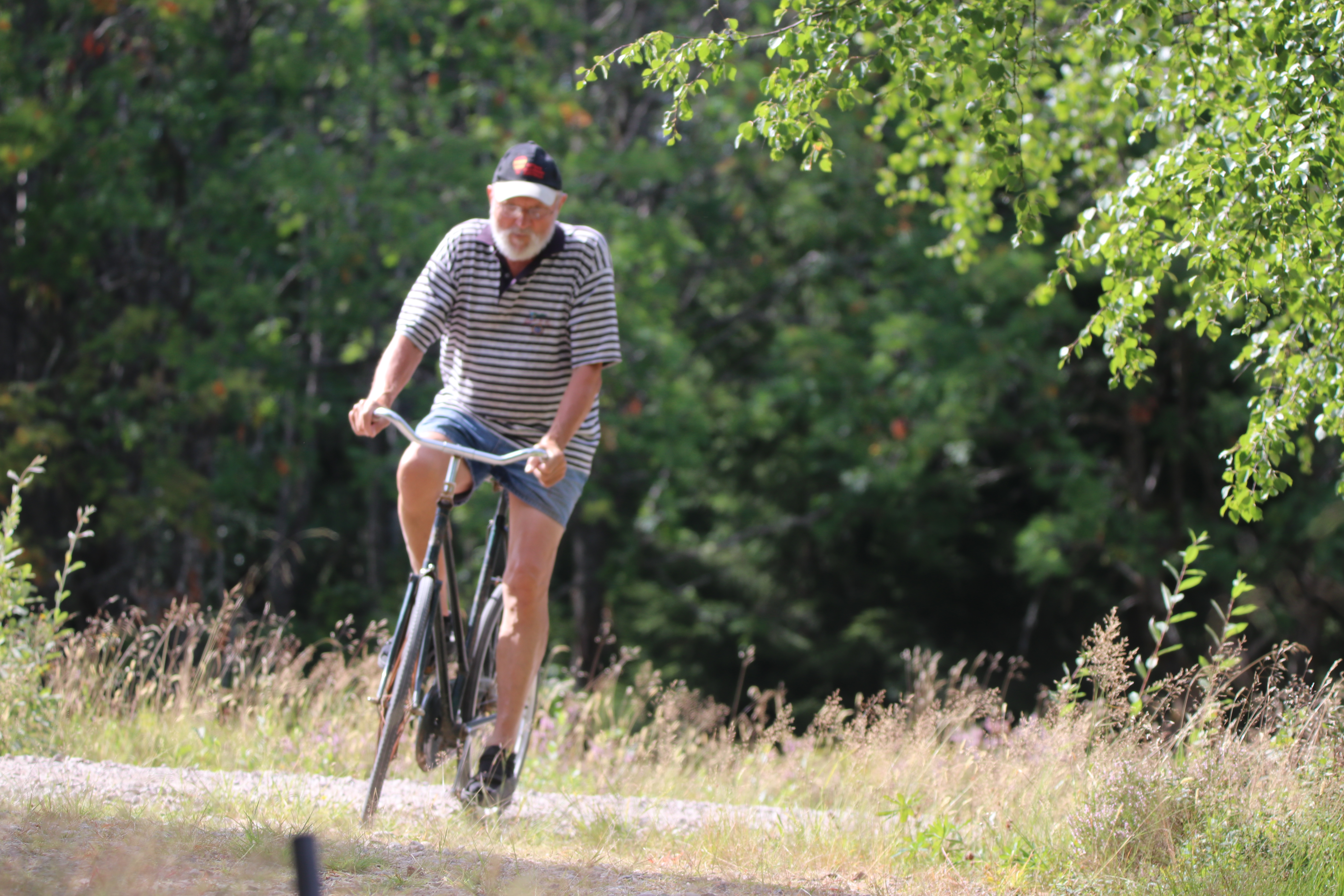 Ib på cykel