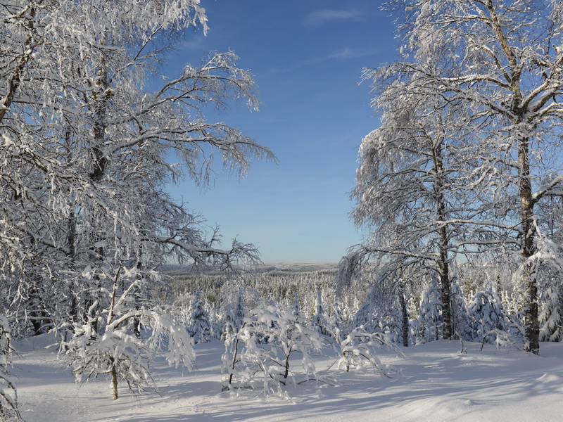 DSC_8984_cr_resize