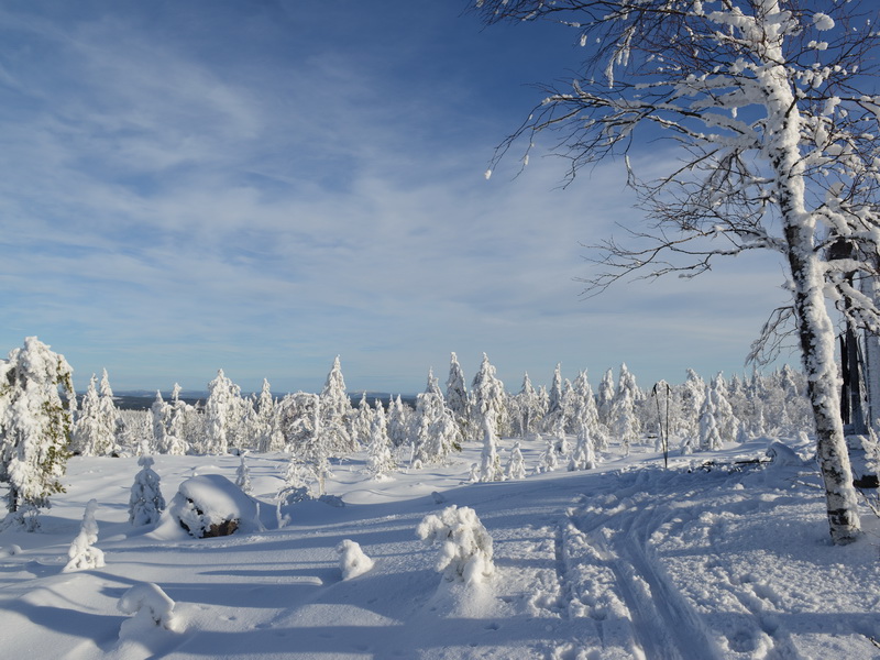 DSC_8996_cr_resize
